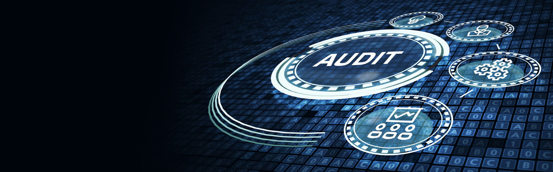 It Audits and Compliances