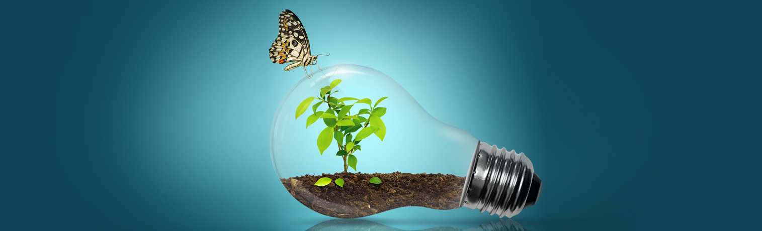 Sustainability Reporting